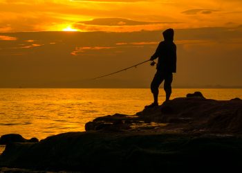 Fonte: Unsplash