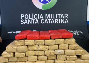 Divulgação / PM