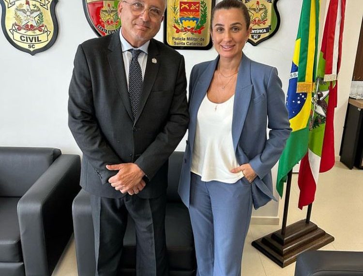 Divulgação