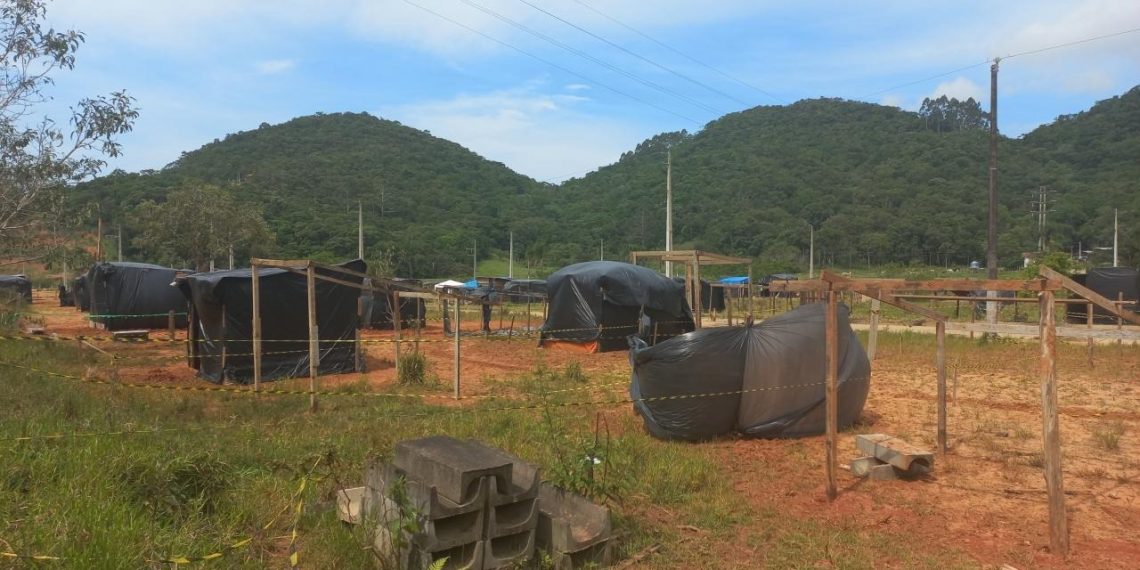 Divulgação / PMSC