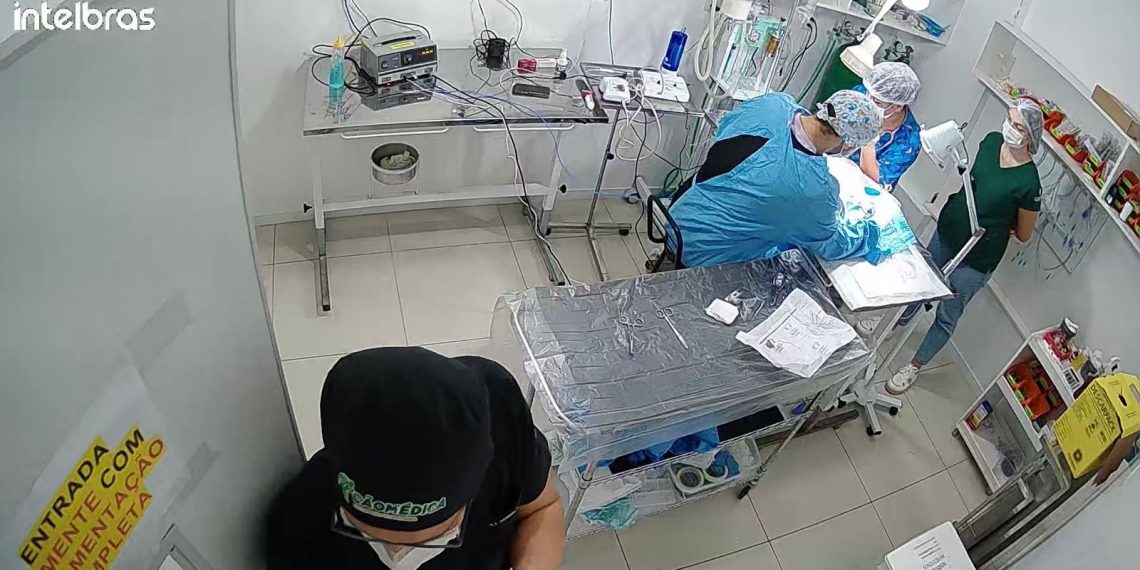 Foto: Arquivo/ Salus Clínica Veterinária