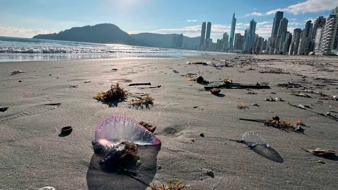 Foto: Beto Moretão