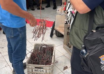 Foto: Divulgação PMBC