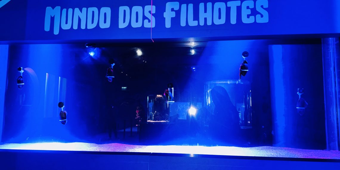 Divulgação