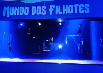 Divulgação