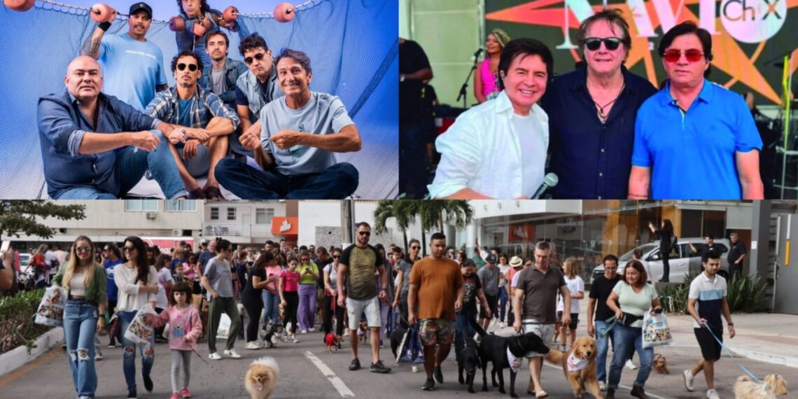 Fotos: Toia de Oliveira / Divulgação
