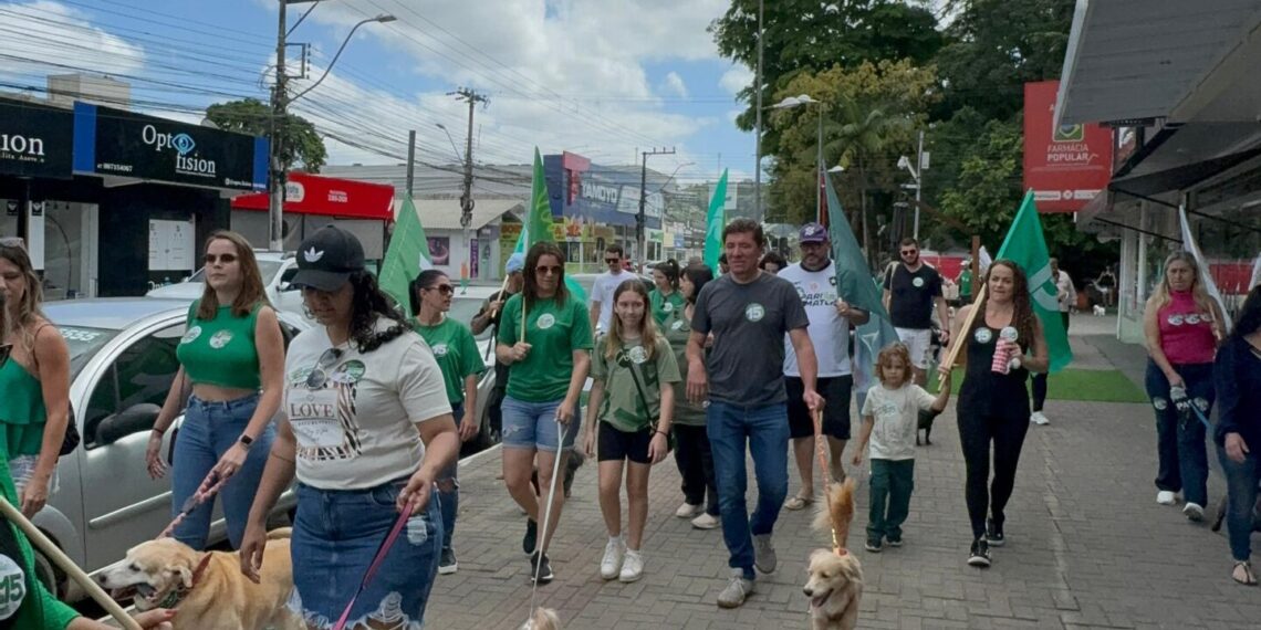Divulgação