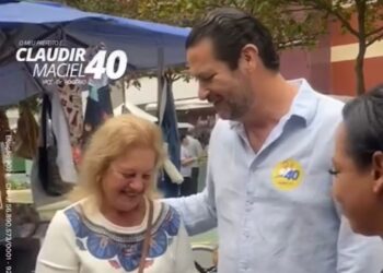 Divulgação