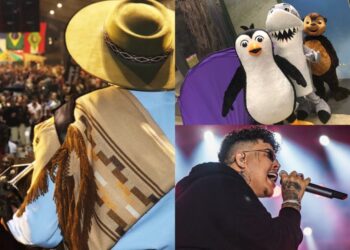 Fotos: Arquivo PMBC/ Divulgação