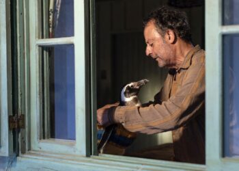 Divulgação / Paris Filmes