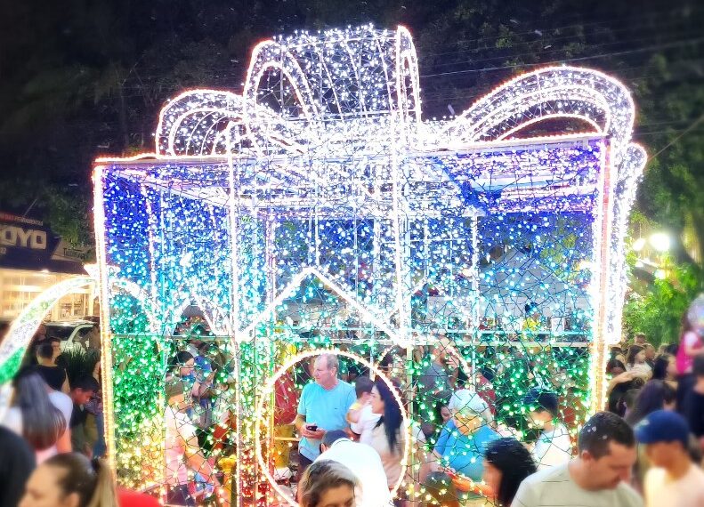 Divulgação