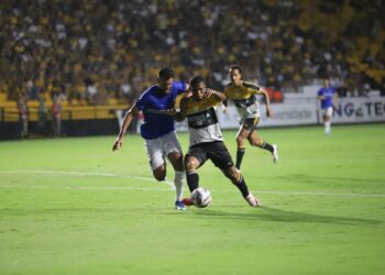 Fotos: Celso da Luz/ Assessoria de imprensa C.E.C.