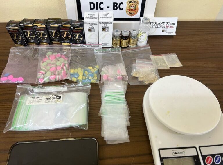 Divulgação / Polícia Civil
