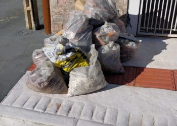 Divulgação / Ambiental