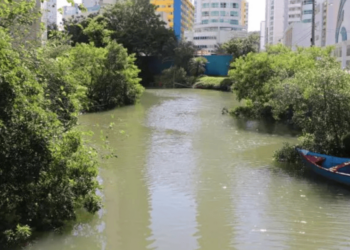 Divulgação / PMBC