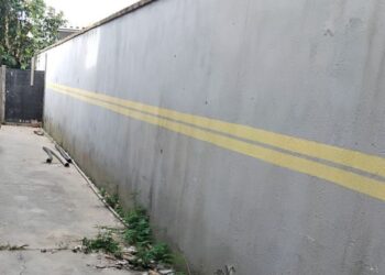 Divulgação / Guarda Municipal Ambiental