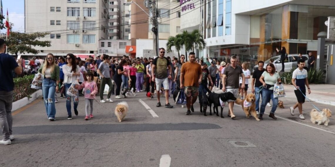 Foto: Beatriz Nunes/Arquivo PMBC