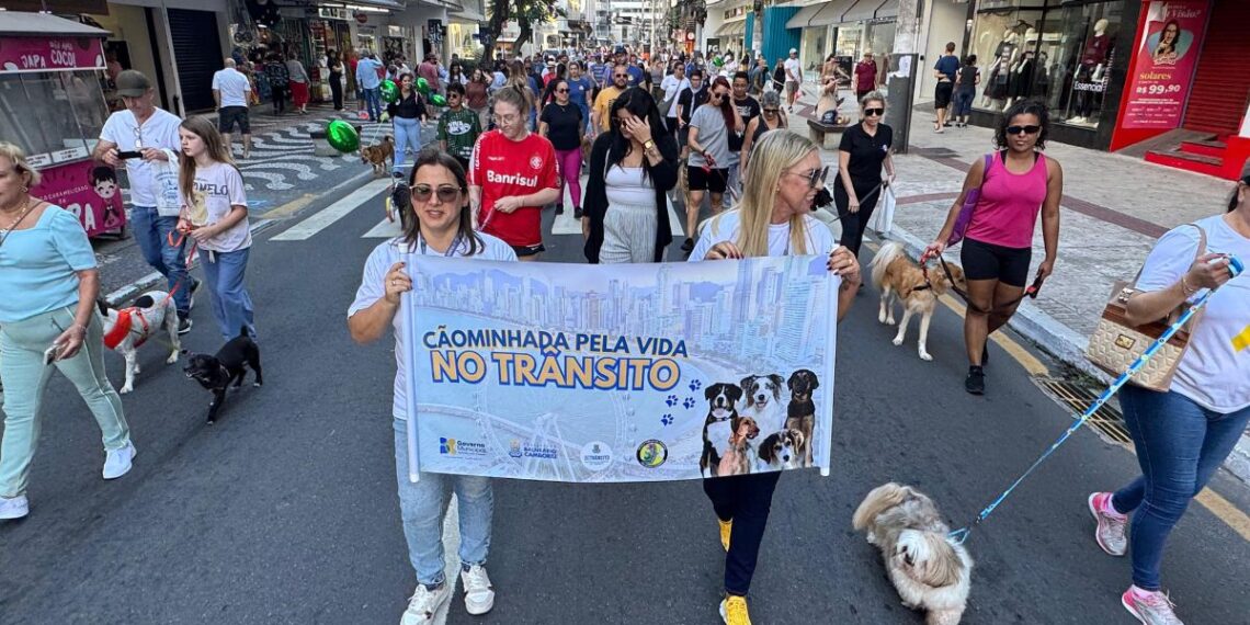 Divulgação / PMBC