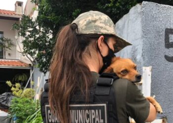 Foto: Divulgação/PMBC