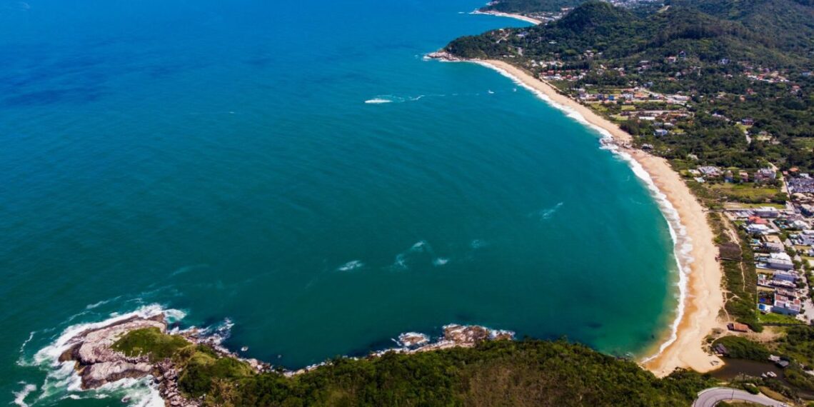 Foto: Divulgação PMBC