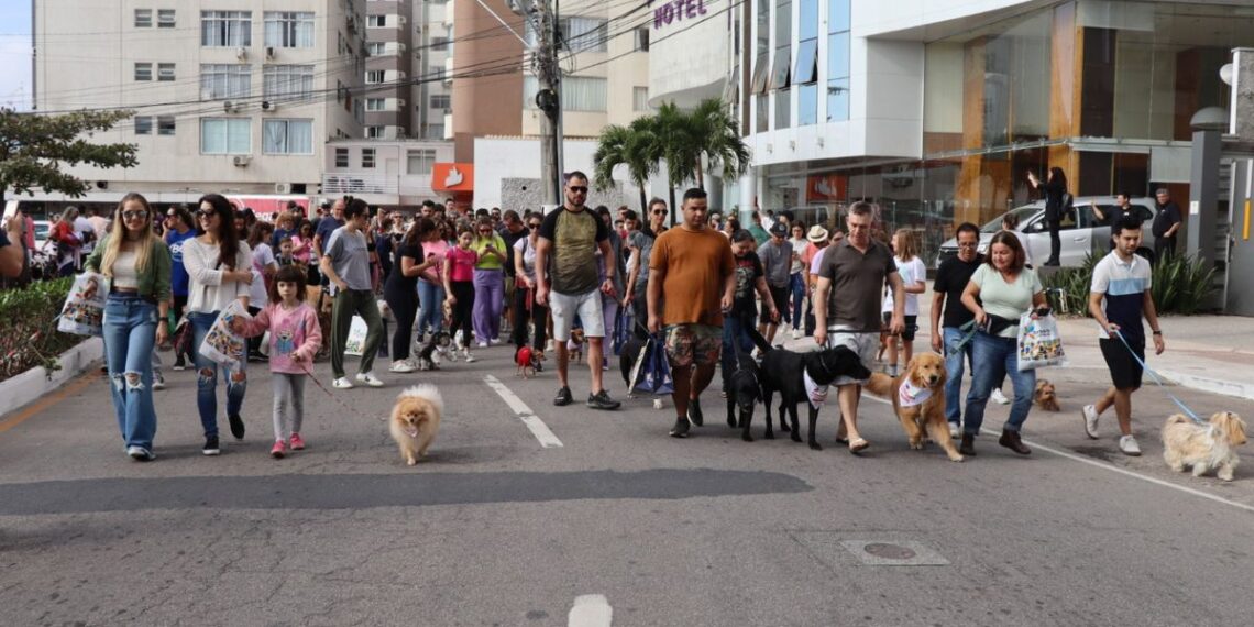 Foto: Beatriz Nunes/Arquivo PMBC
