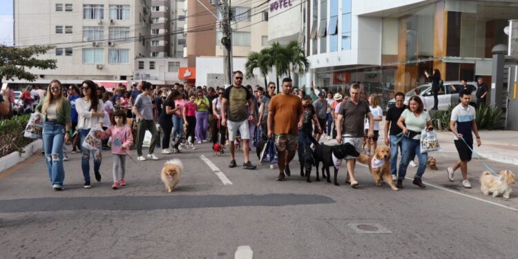 Foto: Beatriz Nunes/Arquivo PMBC