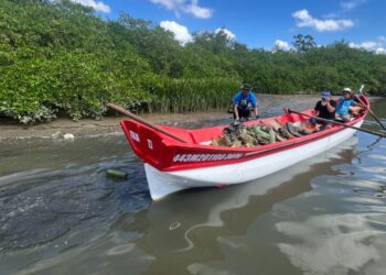 Foto: Arquivo PMBC