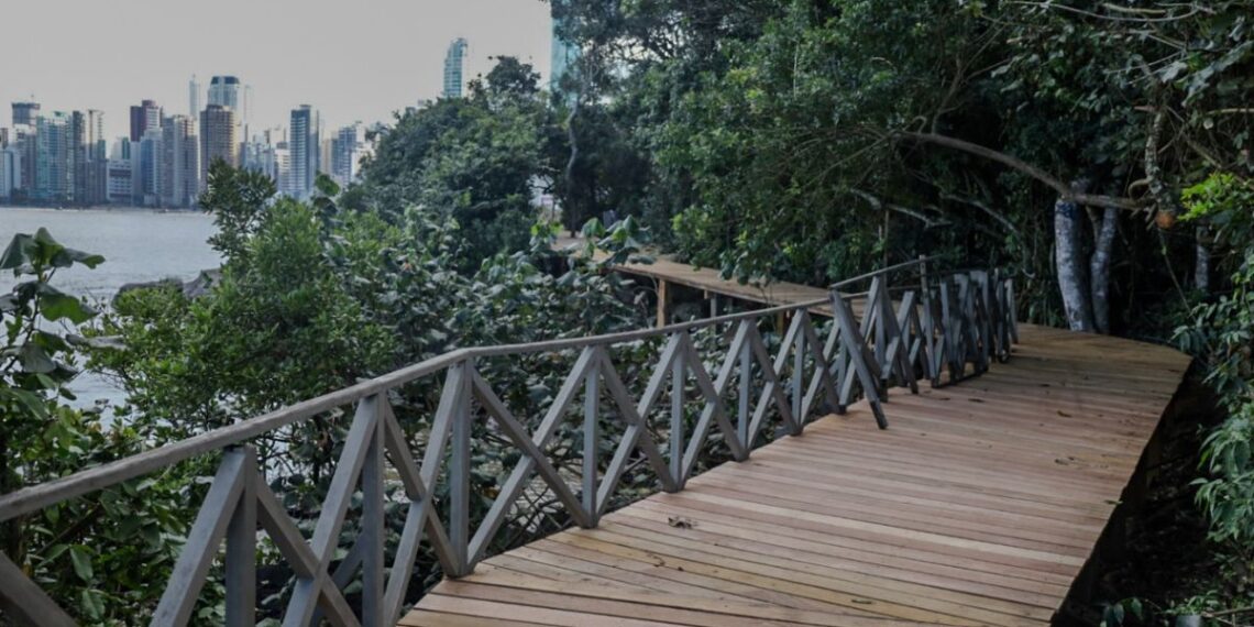 Divulgação / PMBC
