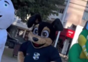 Divulgação
