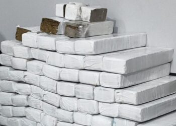 Divulgação / PMSC