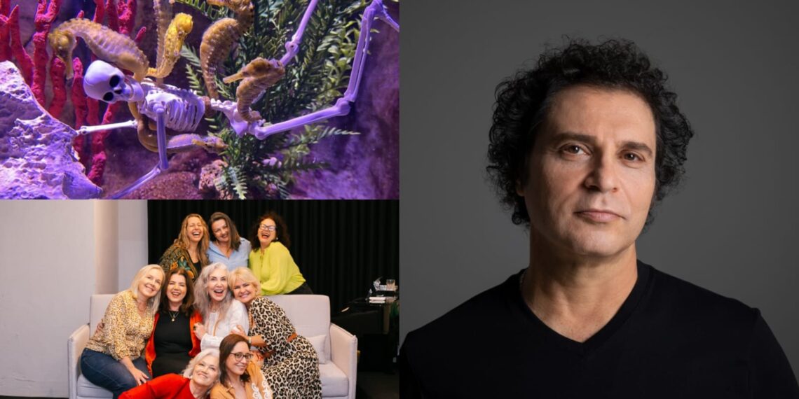 Fotos: Josiane Suelos/Divulgação/ Leo Aversa