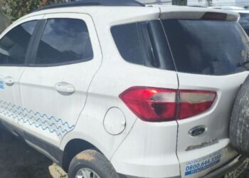 Divulgação / Zampieri Leilões