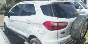 Divulgação / Zampieri Leilões