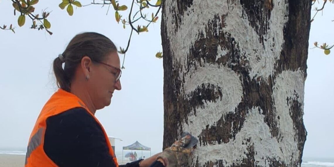 Foto: Divulgação PMBC