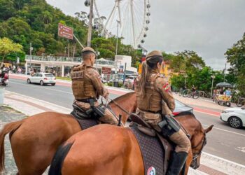 Divulgação / 12 BPM