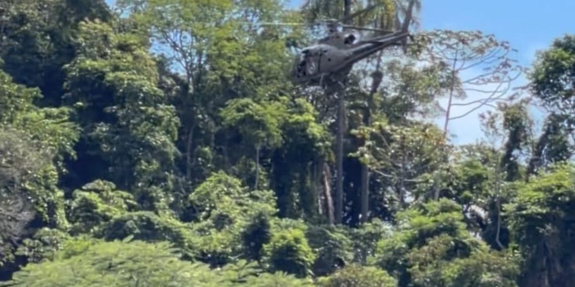 Divulgação / 13 BBM