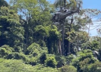 Divulgação / 13 BBM