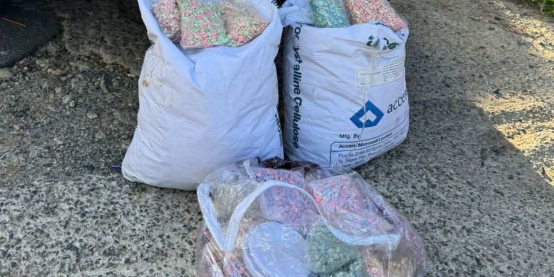 Divulgação / 12 BPM