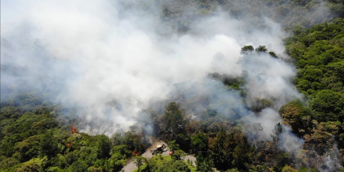 Divulgação / Bombeiros