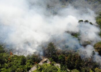 Divulgação / Bombeiros