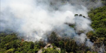Divulgação / Bombeiros