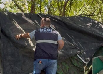 Foto: Divulgação PMBC