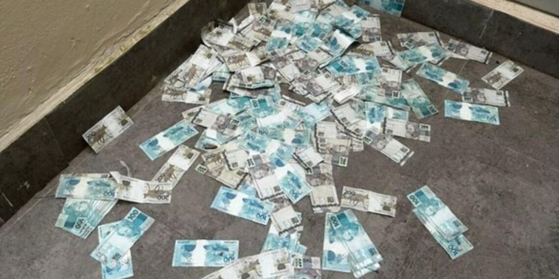 Divulgação / Polícia Federal