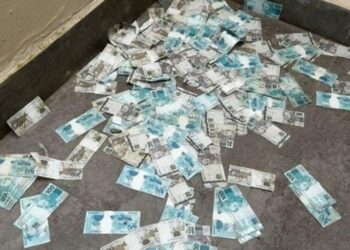 Divulgação / Polícia Federal