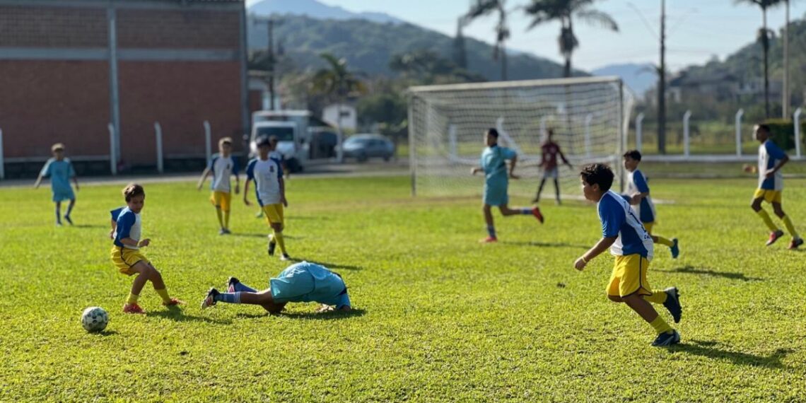 Divulgação