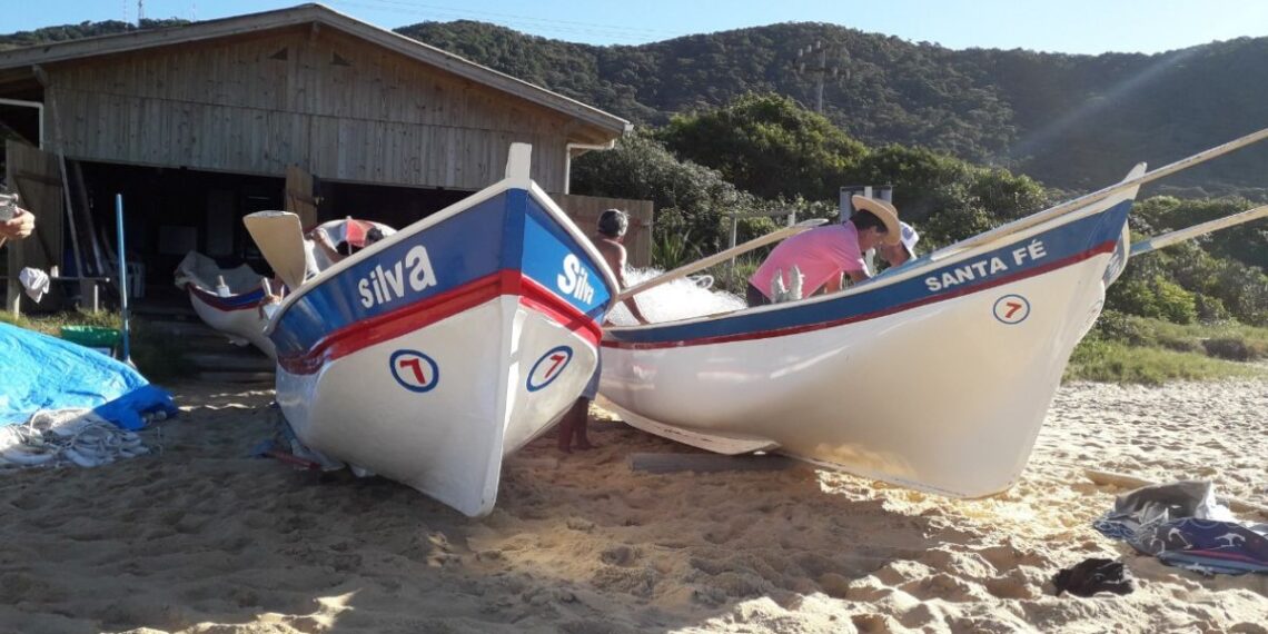 Divulgação / PMBC