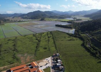 Divulgação / PMBC