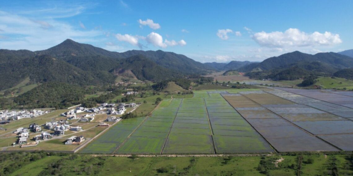 Foto: Divulgação PMBC