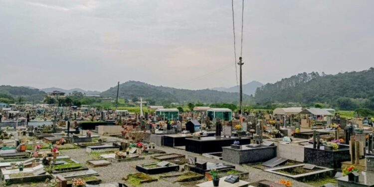 Divulgação / PMC