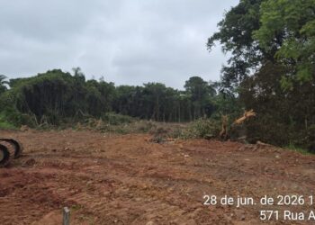 Foto: Guilherme Medina